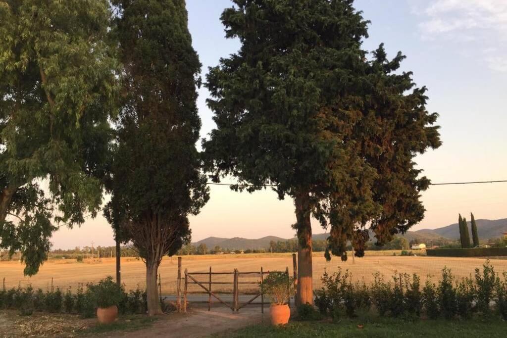Azienda Agricola Maremma Bio Marsiliana Bagian luar foto
