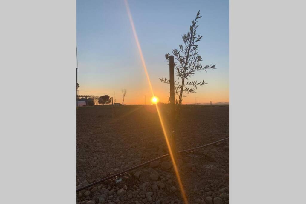 Azienda Agricola Maremma Bio Marsiliana Bagian luar foto